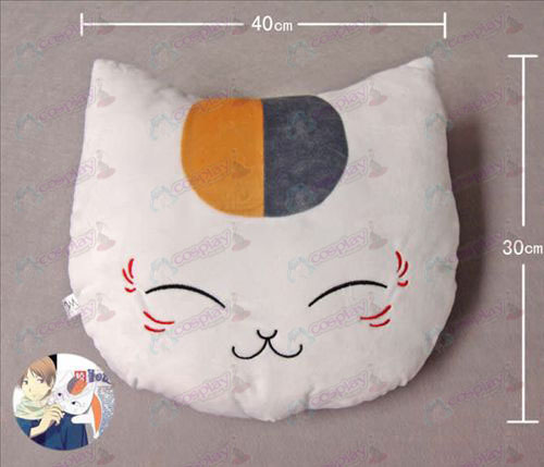 Cat leraar Pillow