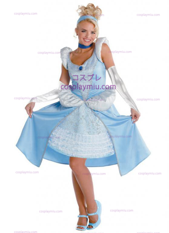 Volwassen Cinderella Kostuum