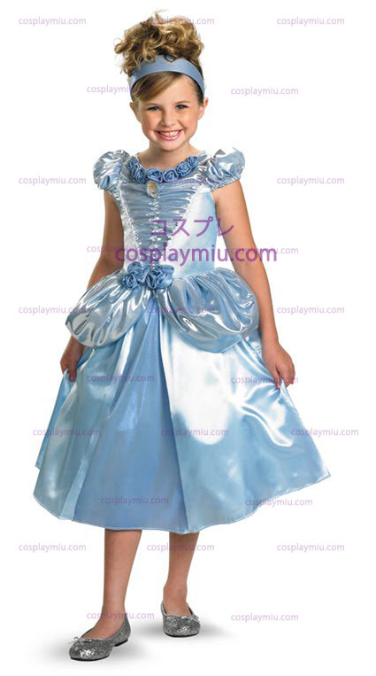 Hot verkopen Cinderella Costume