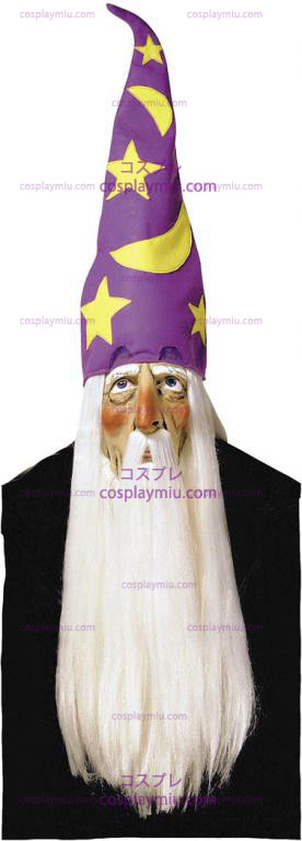 Wizard Masker Met haar en hoed