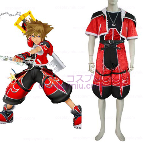 Kingdom Hearts 2 Sora Brave Form Cosplay België Kostuum